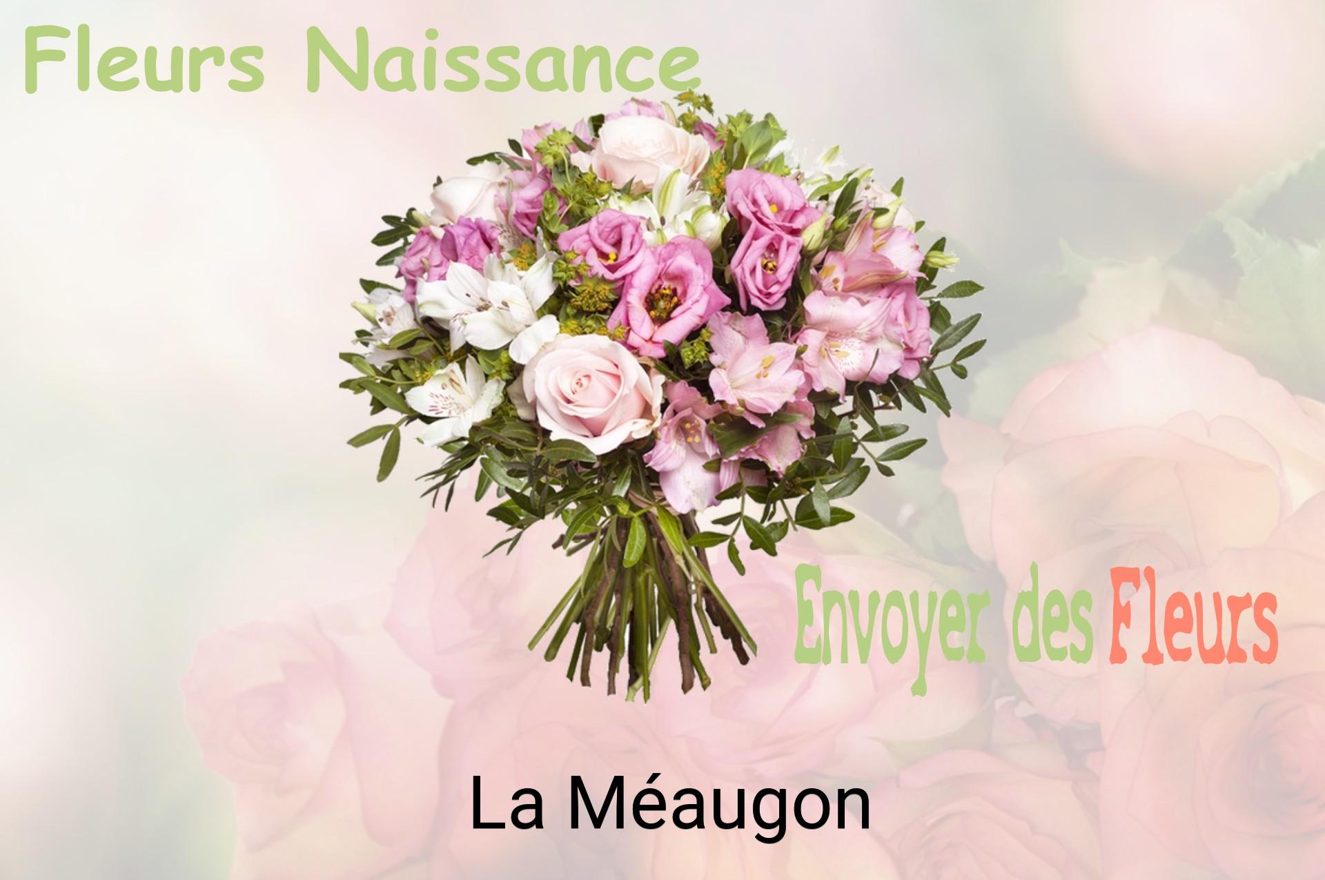 Bouquet de fleurs de naissance livré à La Méaugon